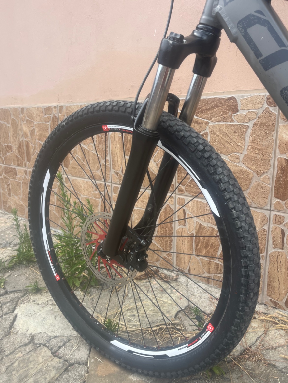 Bike view 10
