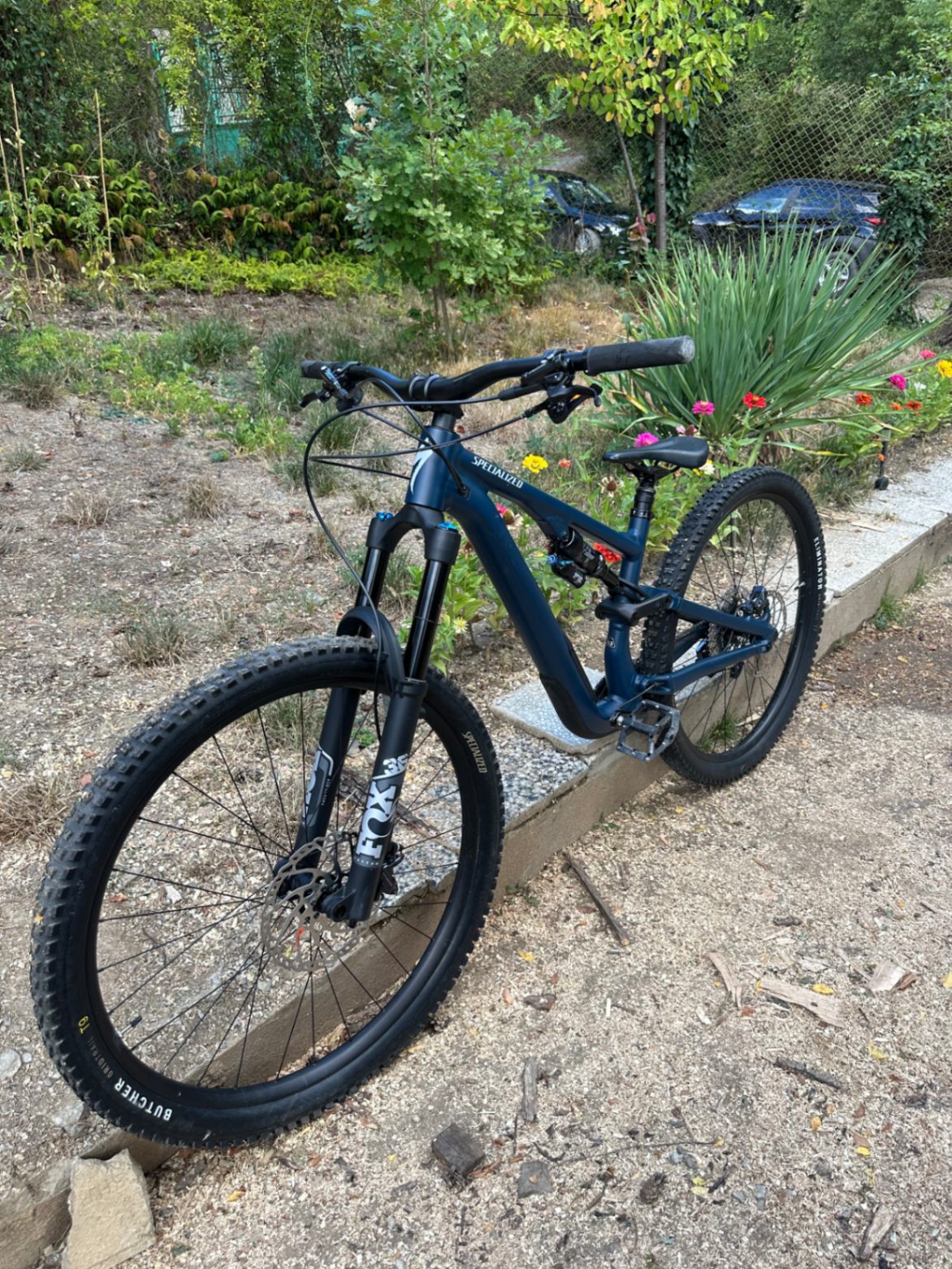 Bike view 2