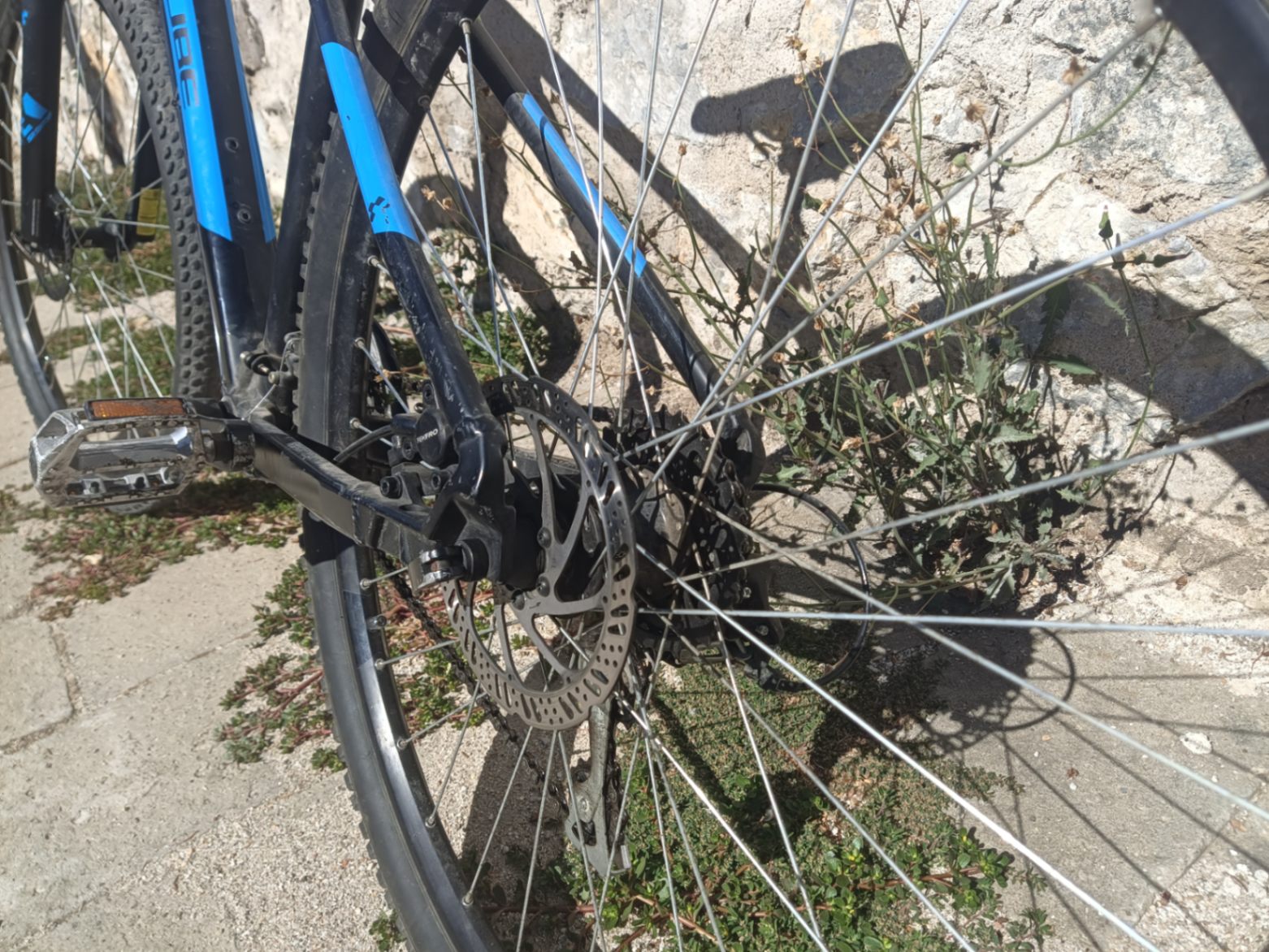 Bike view 6