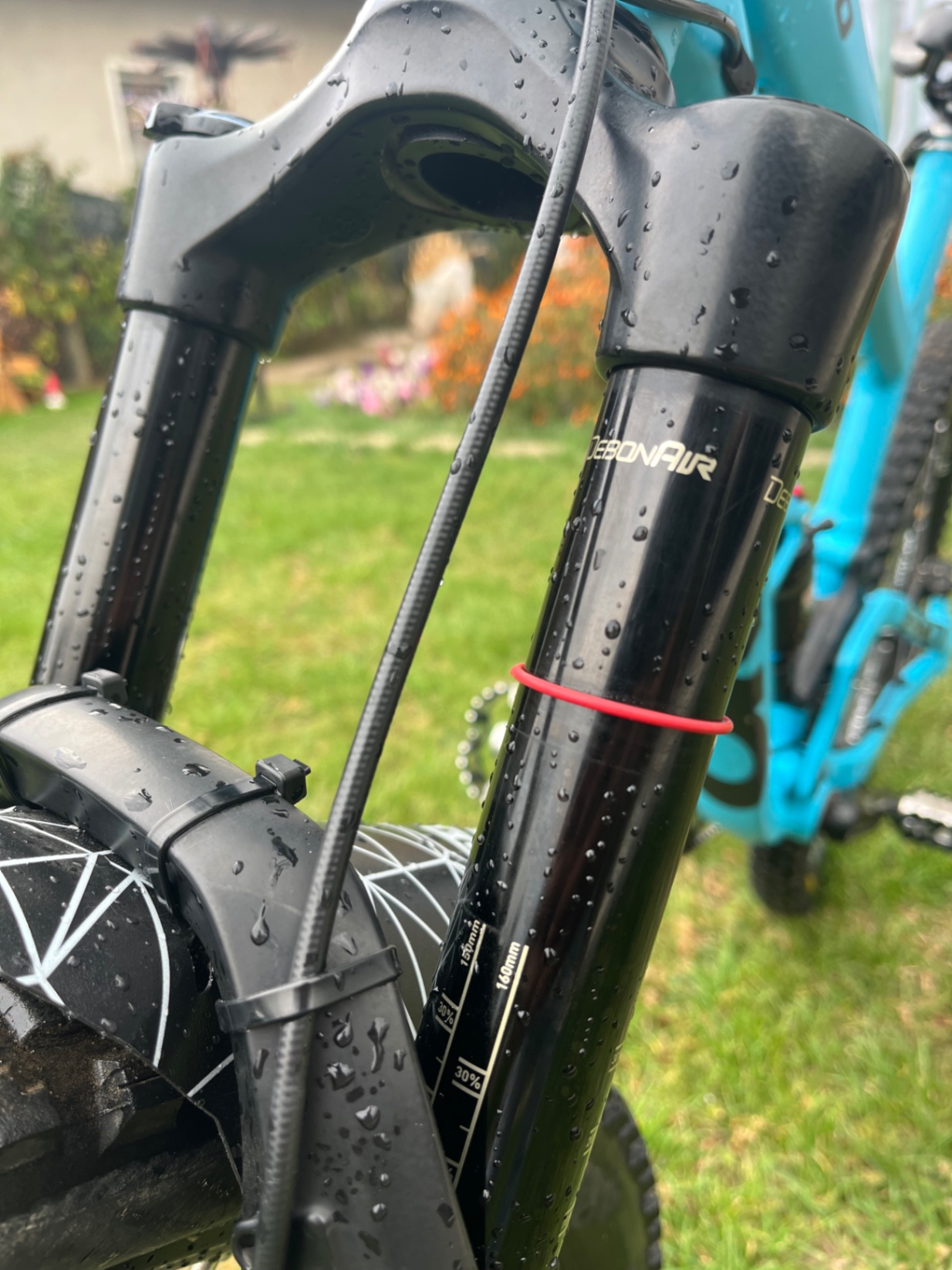 Bike view 9
