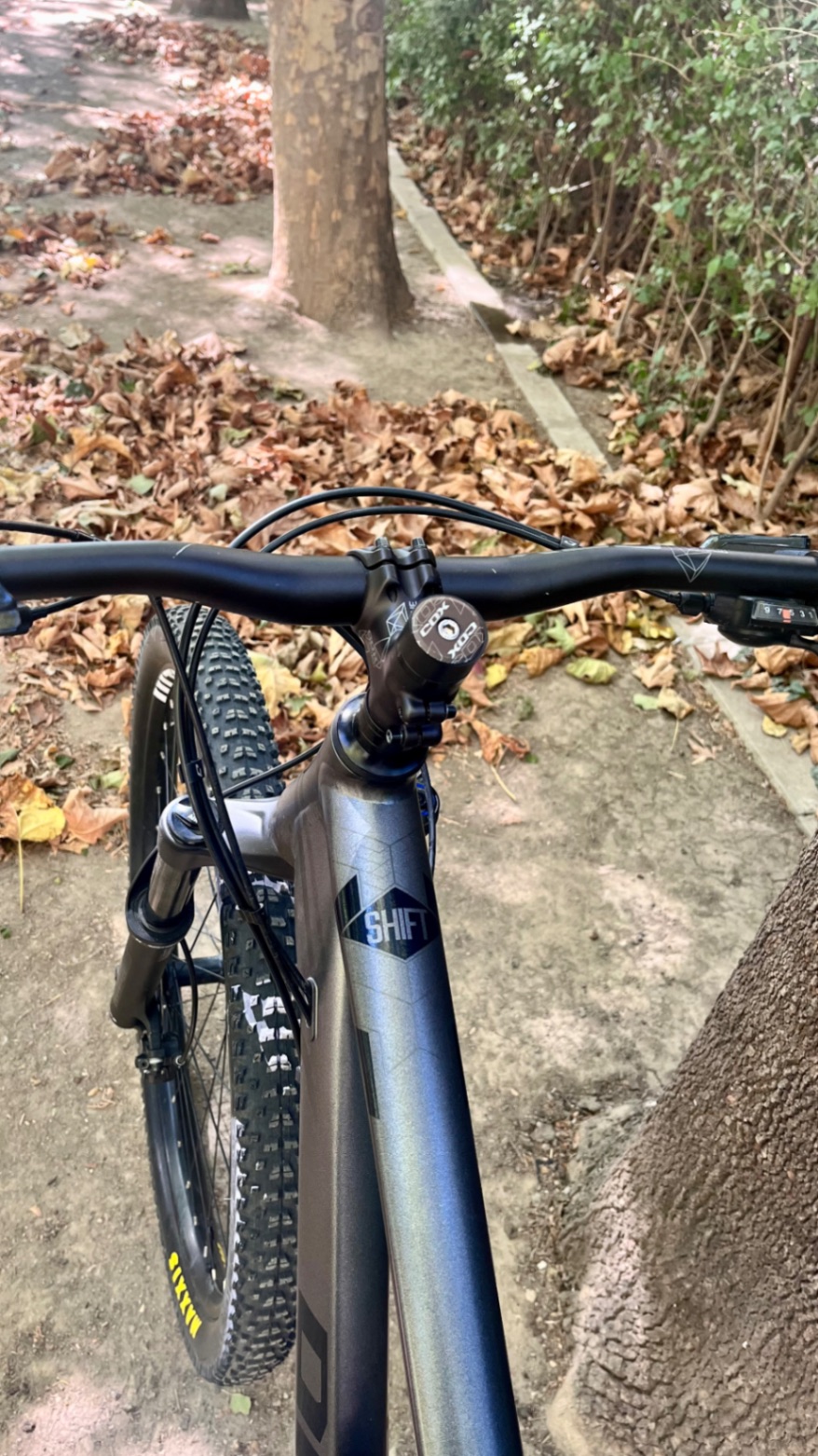 Bike view 5