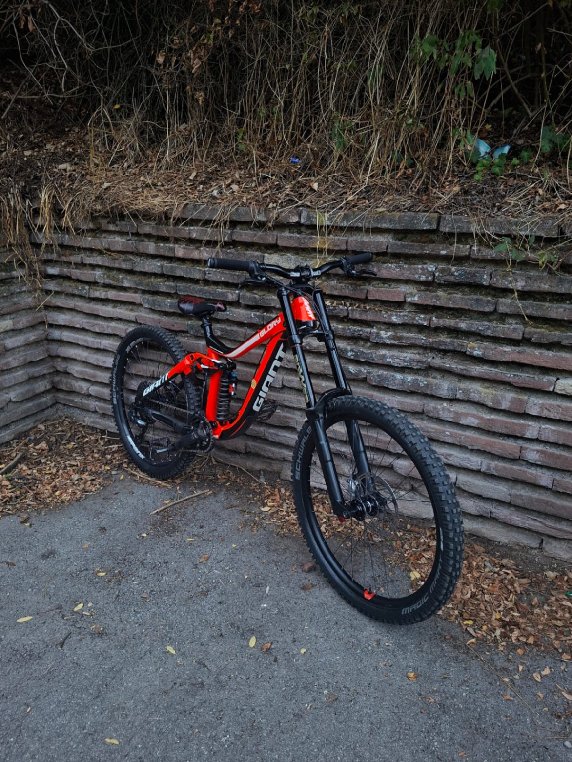 Bike view 6