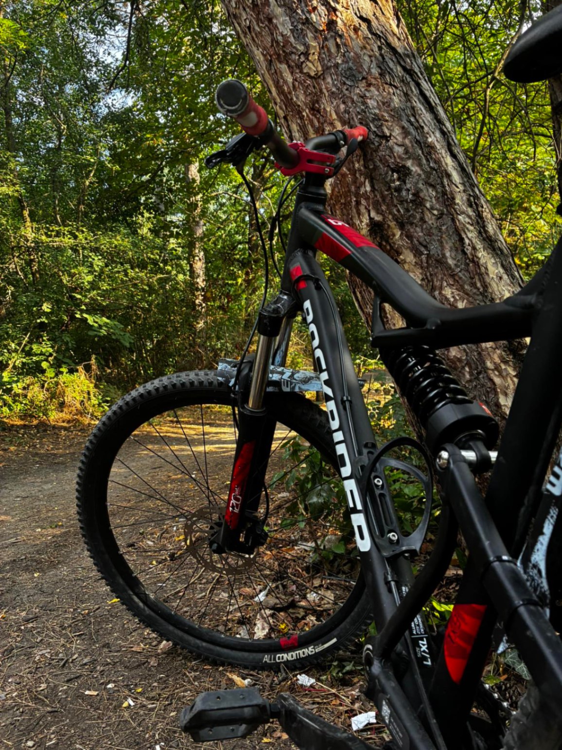 Bike view 6