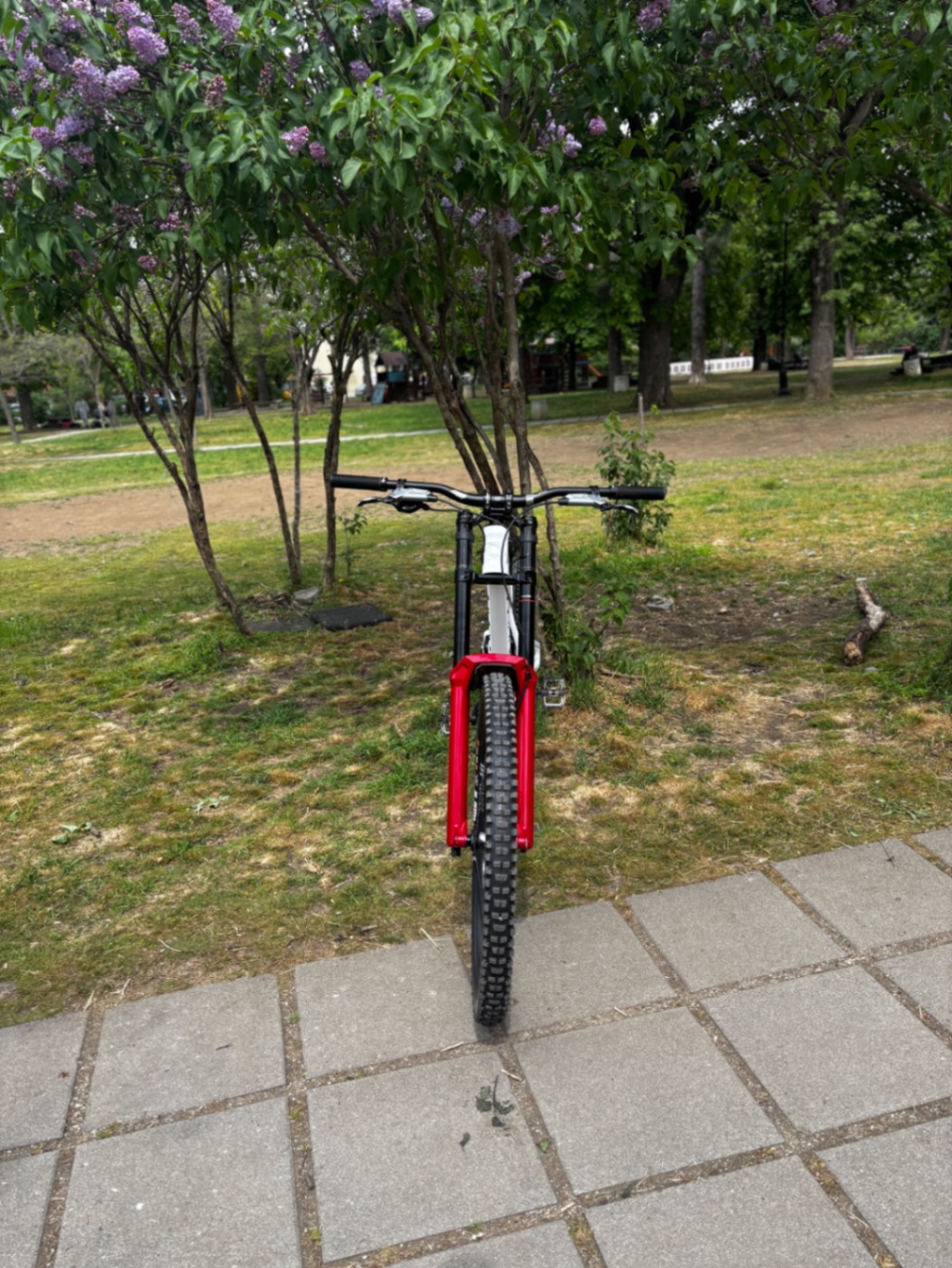 Bike view 5