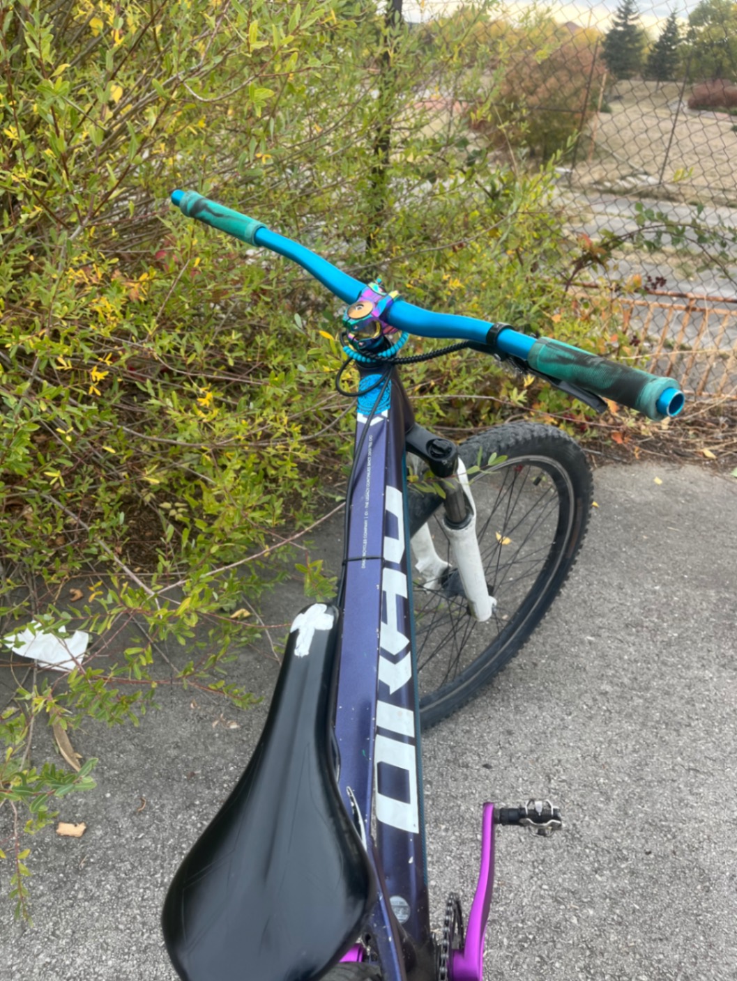 Bike view 5