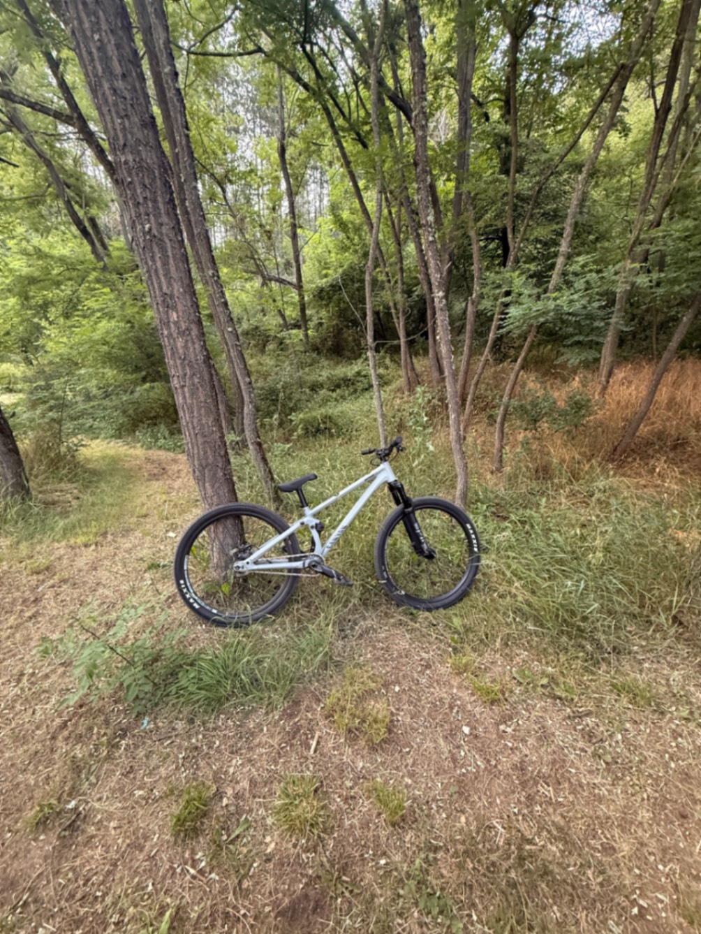 Bike view 2