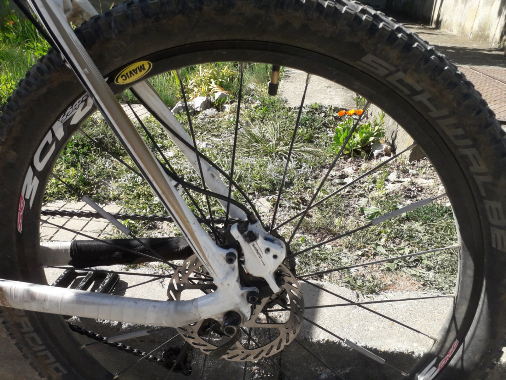 Bike view 5