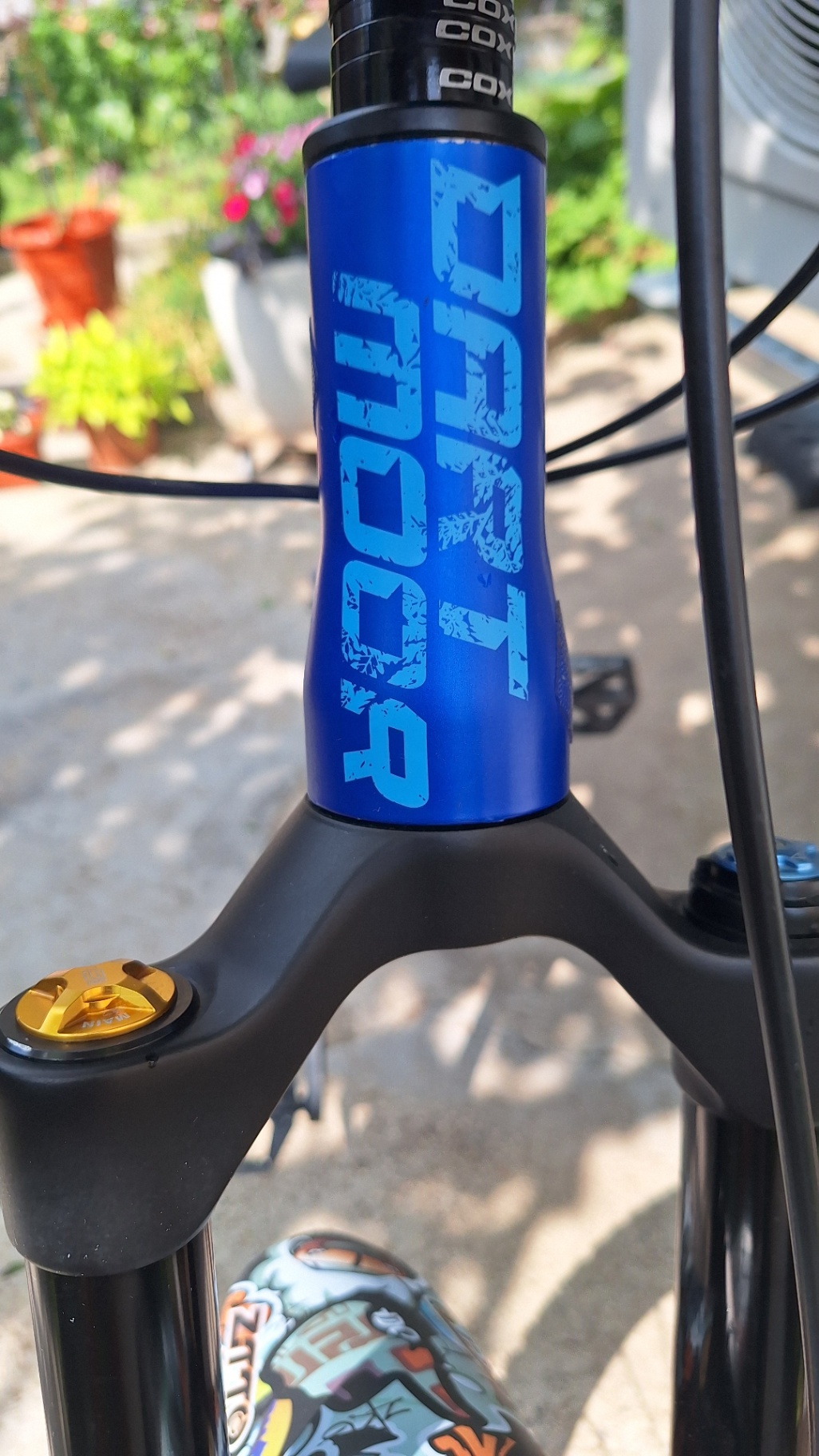 Bike view 8