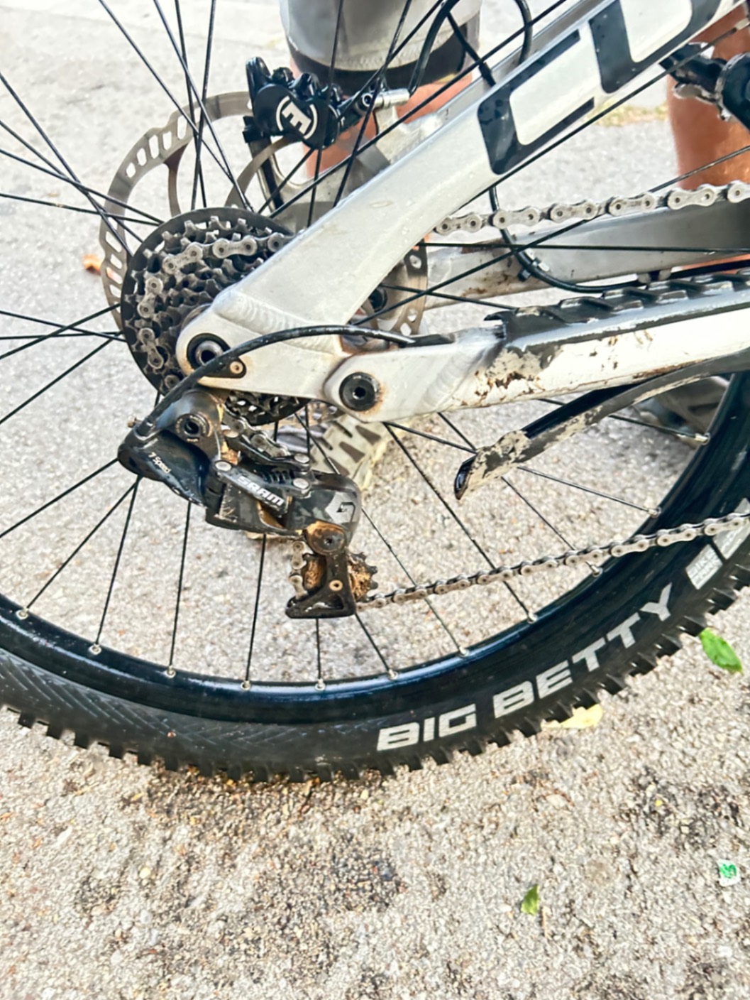 Bike view 6