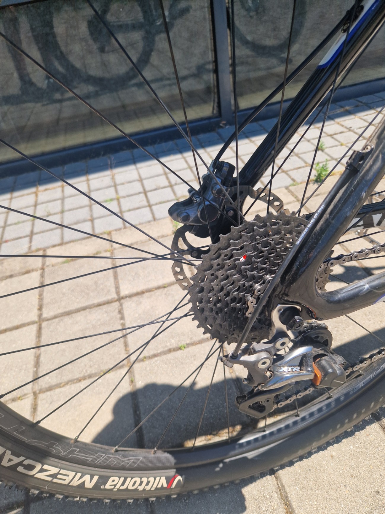 Bike view 8