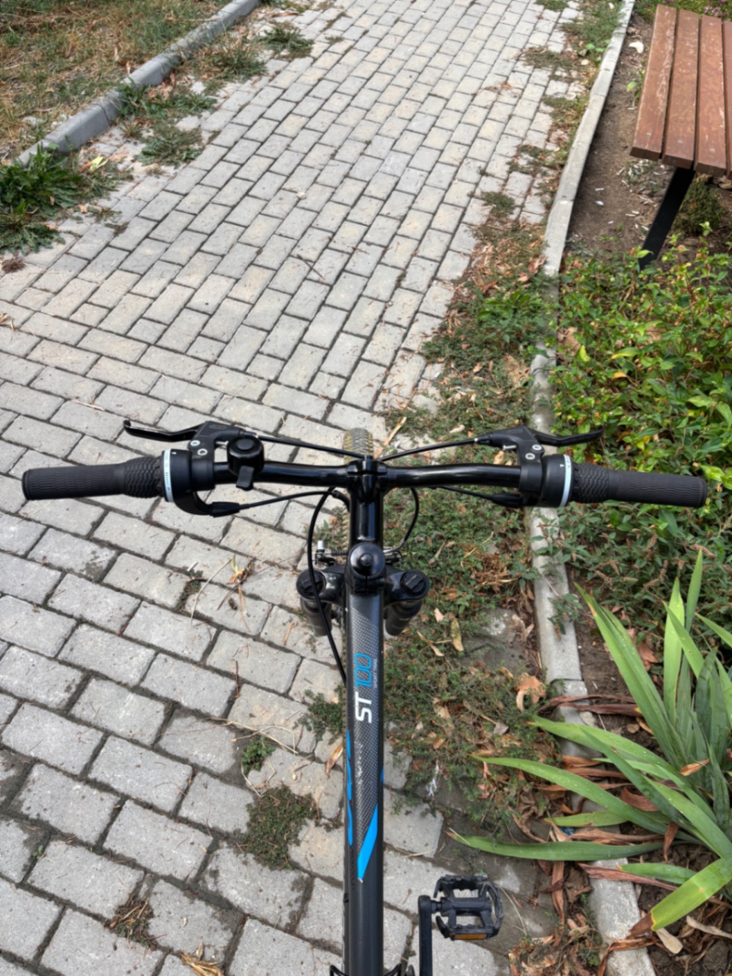 Bike view 11