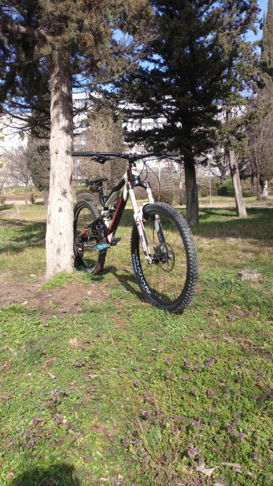 Bike view 6