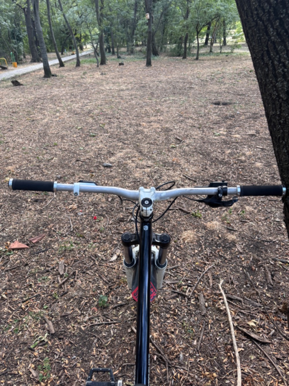 Bike view 8