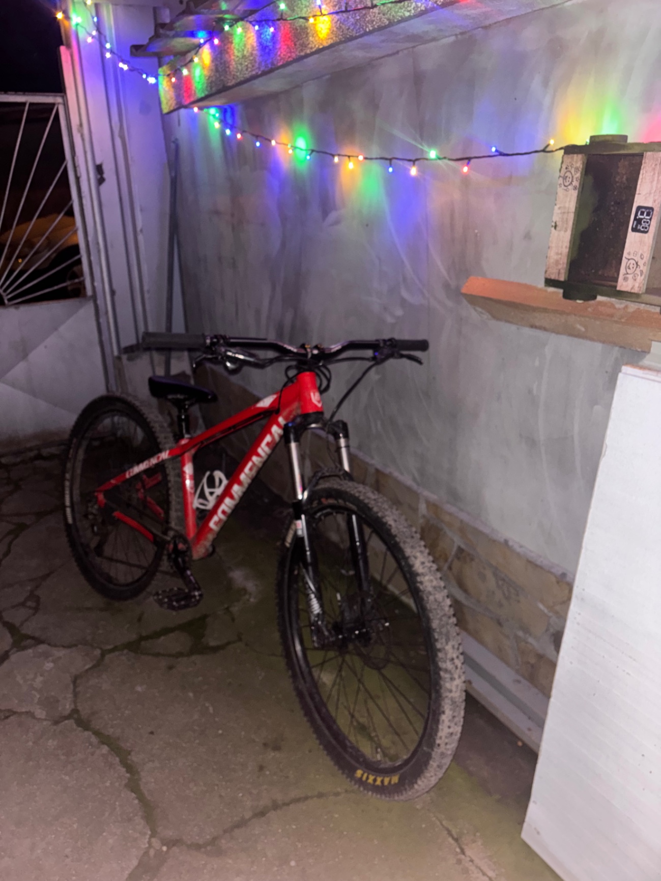 Bike view 9