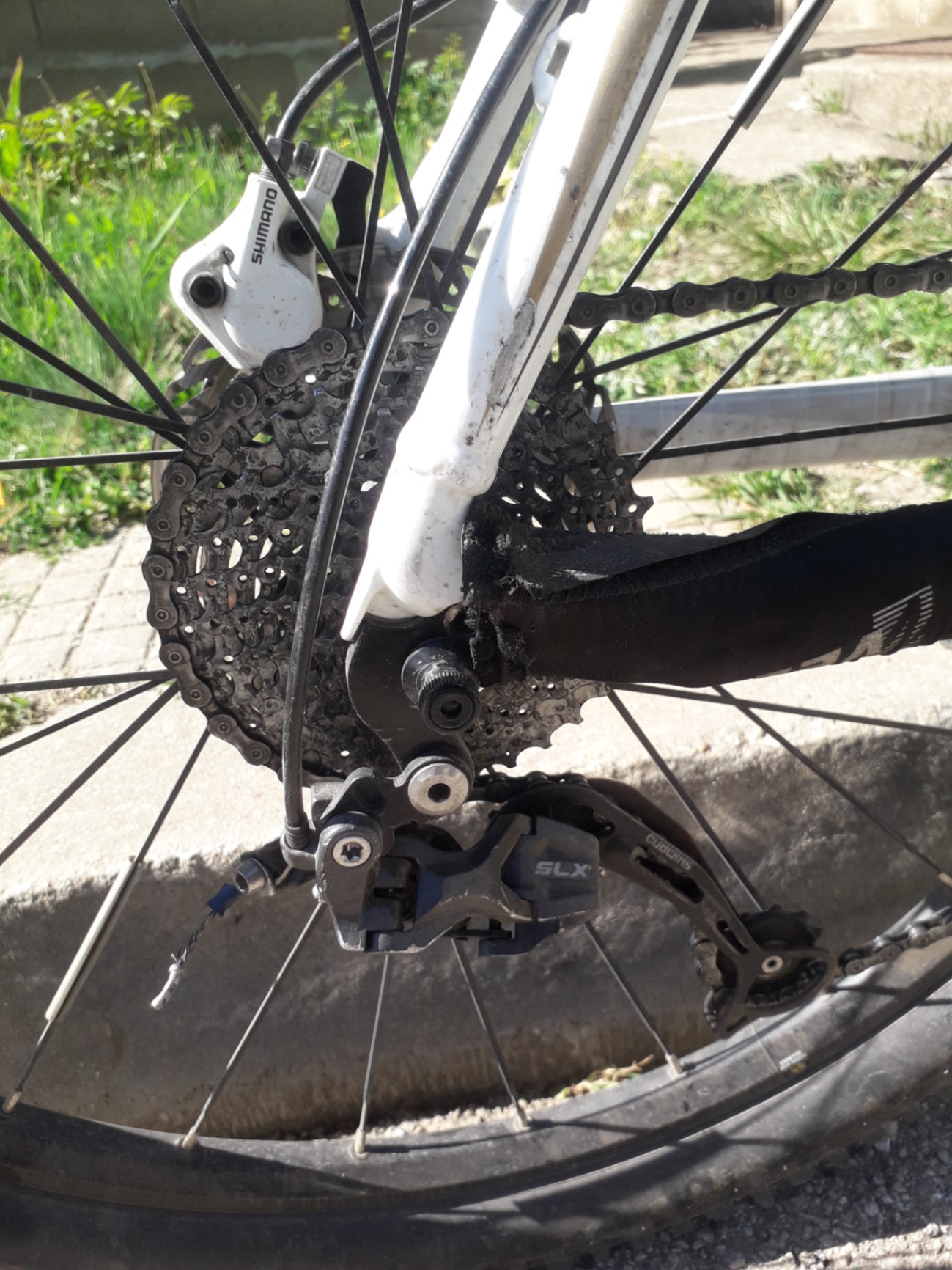 Bike view 8
