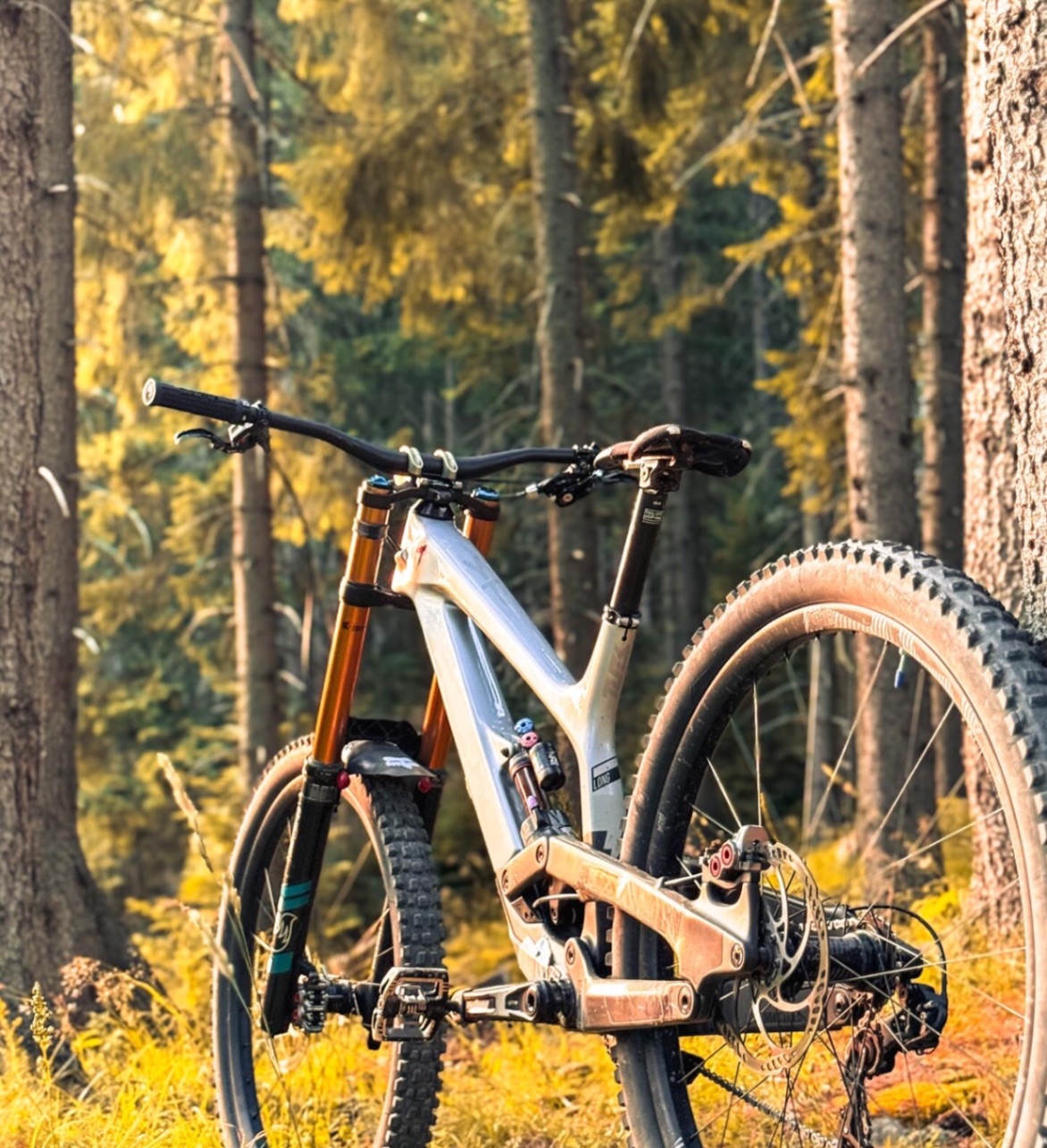 YT Industries Tues CF Pro Race