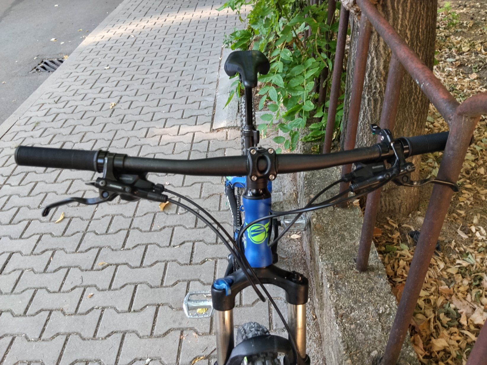 Bike view 8