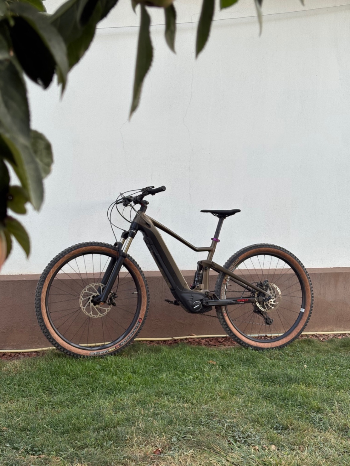 Bike view 5
