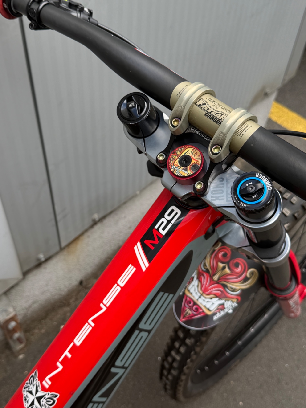 Bike view 9