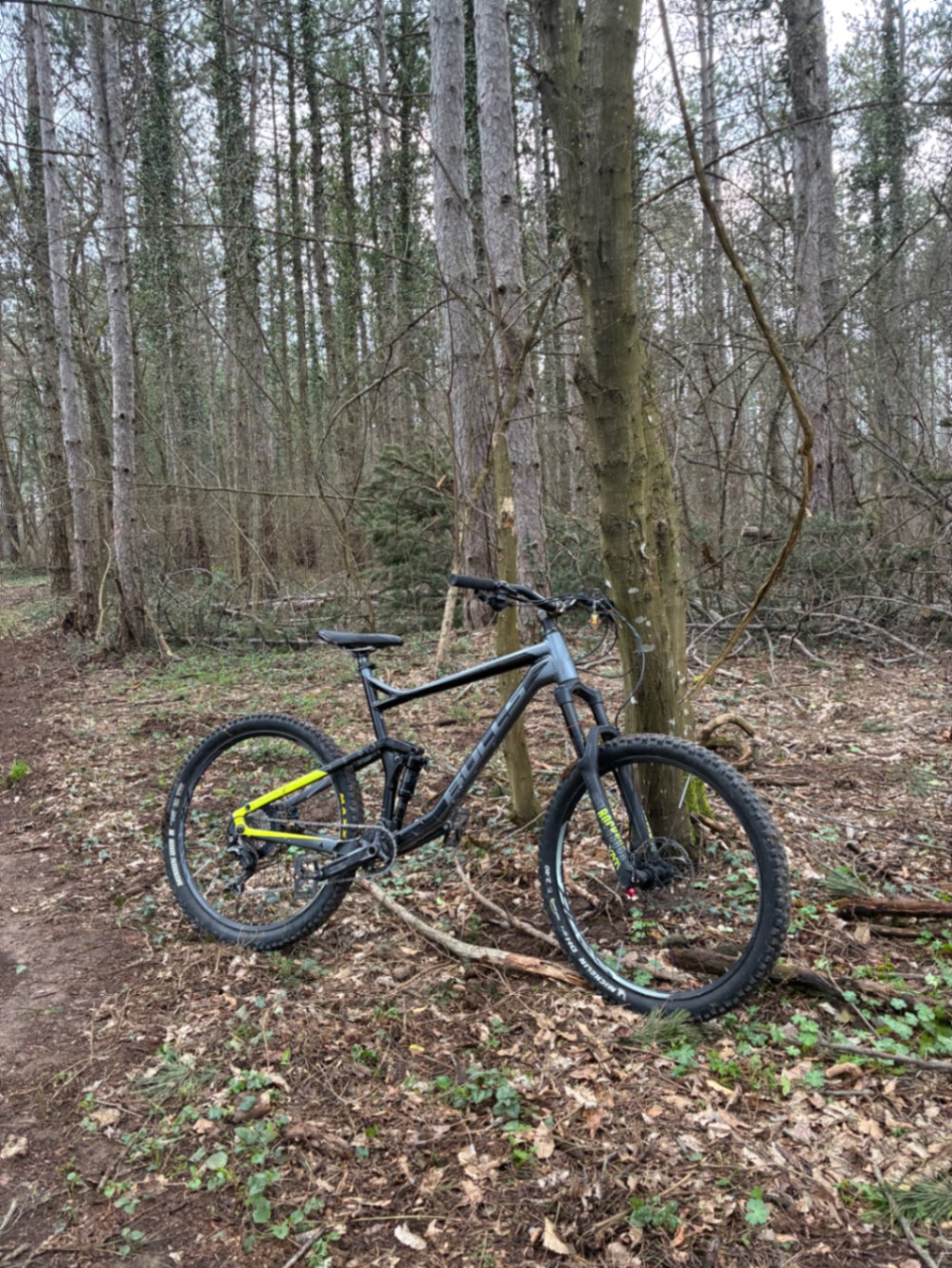 Bike view 4