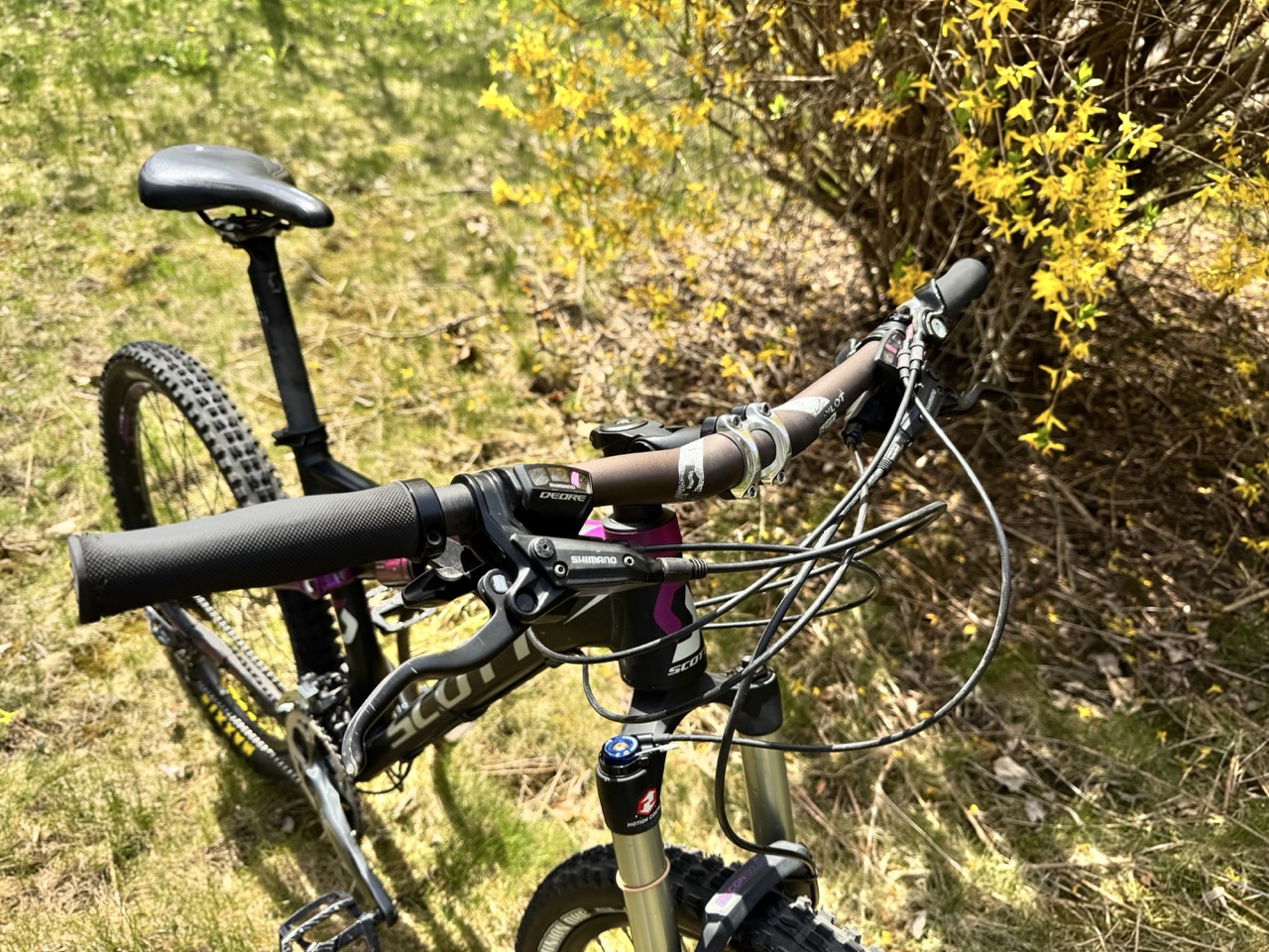 Bike view 8