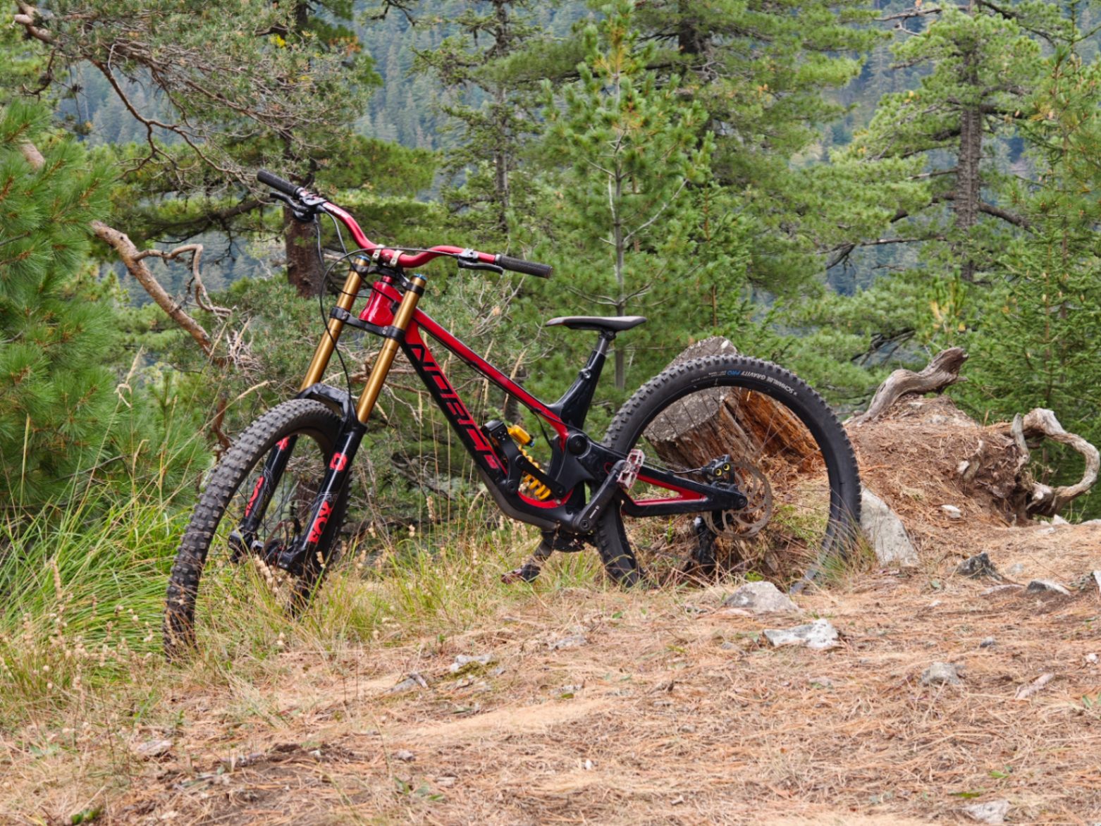 Norco Aurum HSP C1