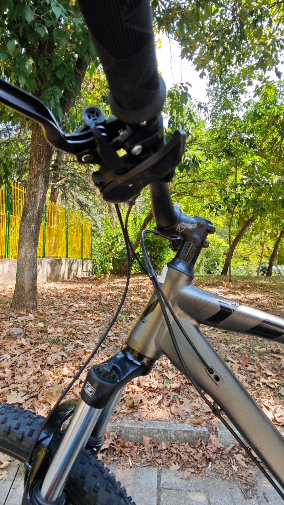 Bike view 8