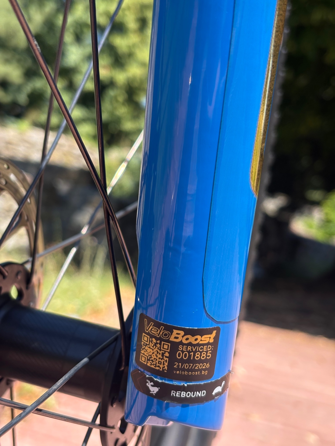 Bike view 11