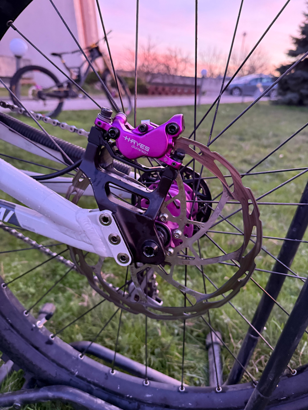 Bike view 6