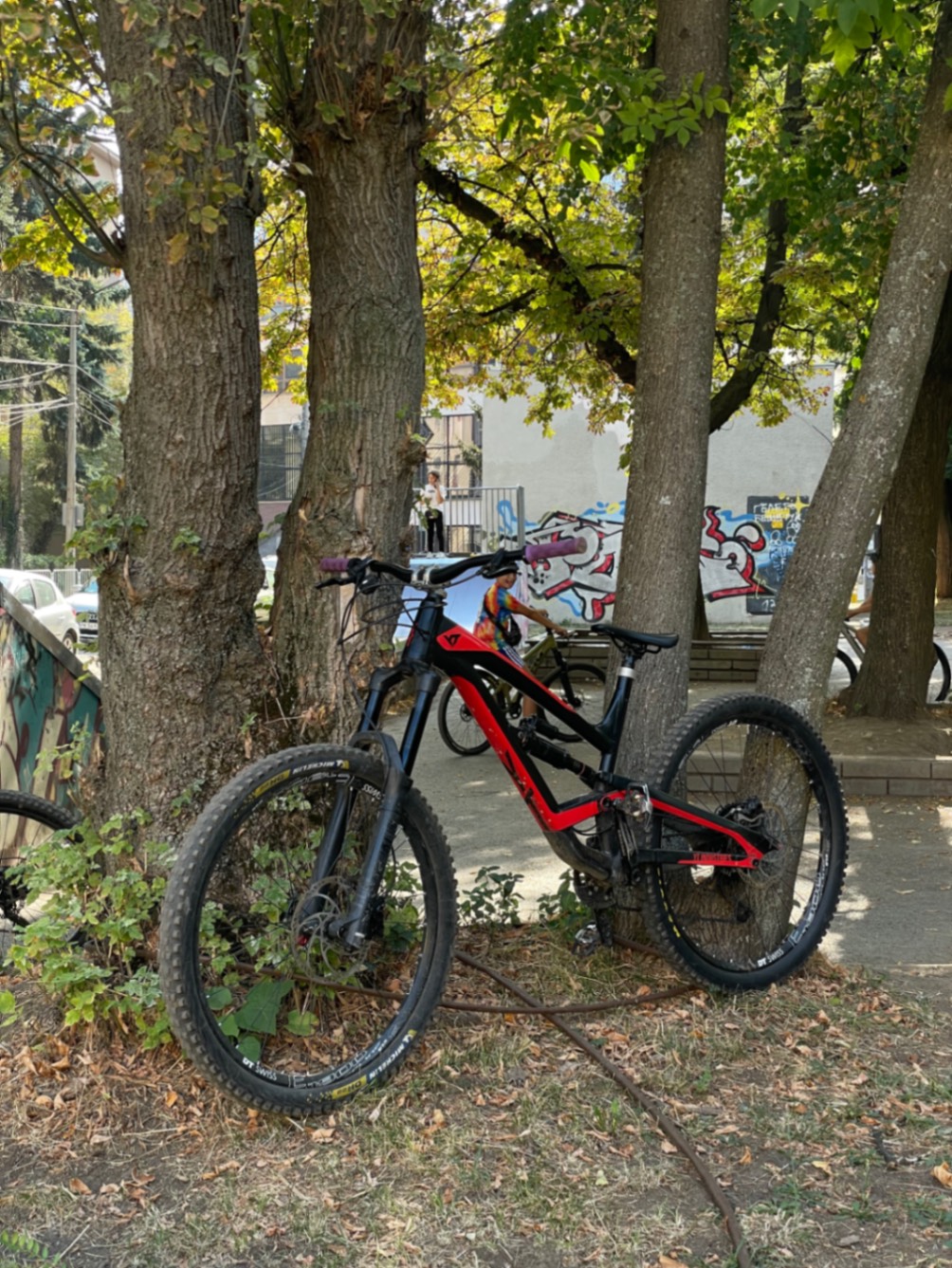 Bike view 5