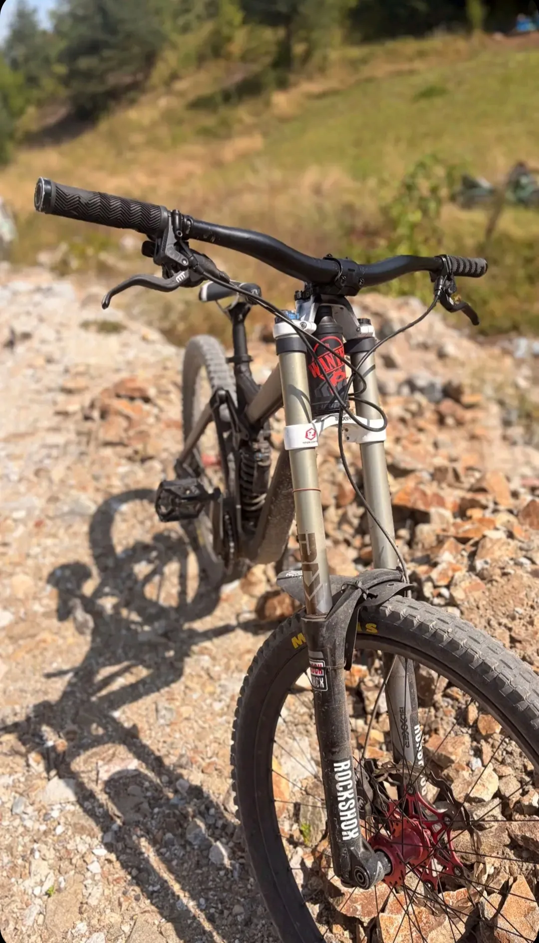 Haibike Dwnhll view 6