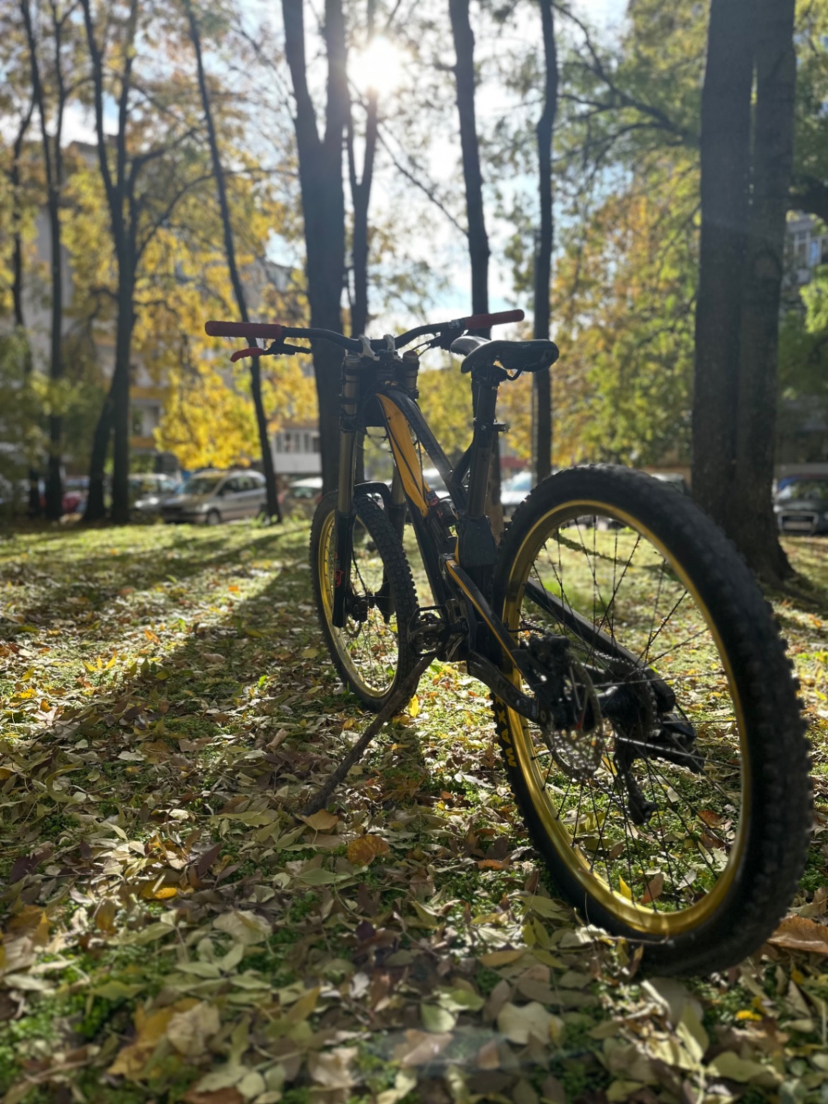 Bike view 4