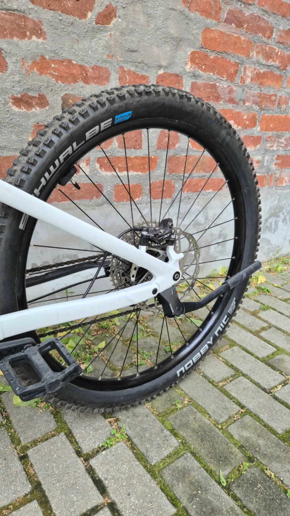 Bike view 10