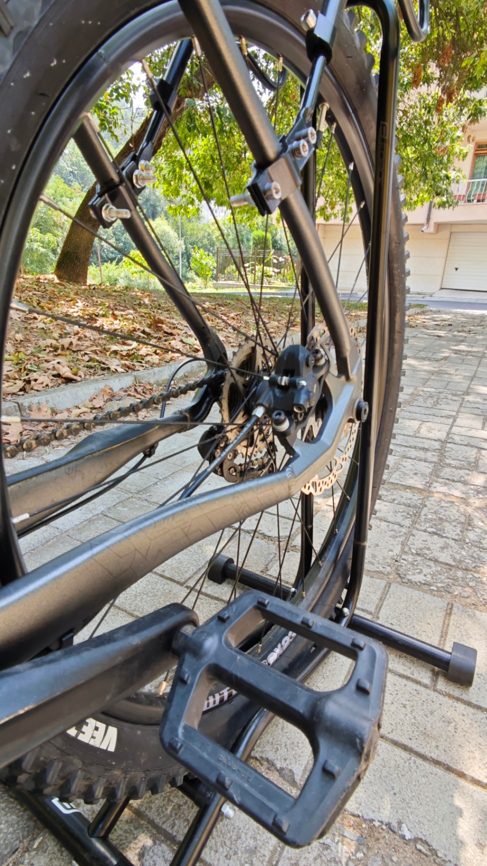 Bike view 5