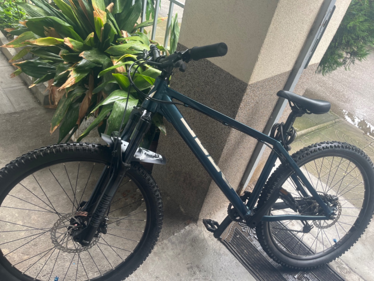 Bike view 5