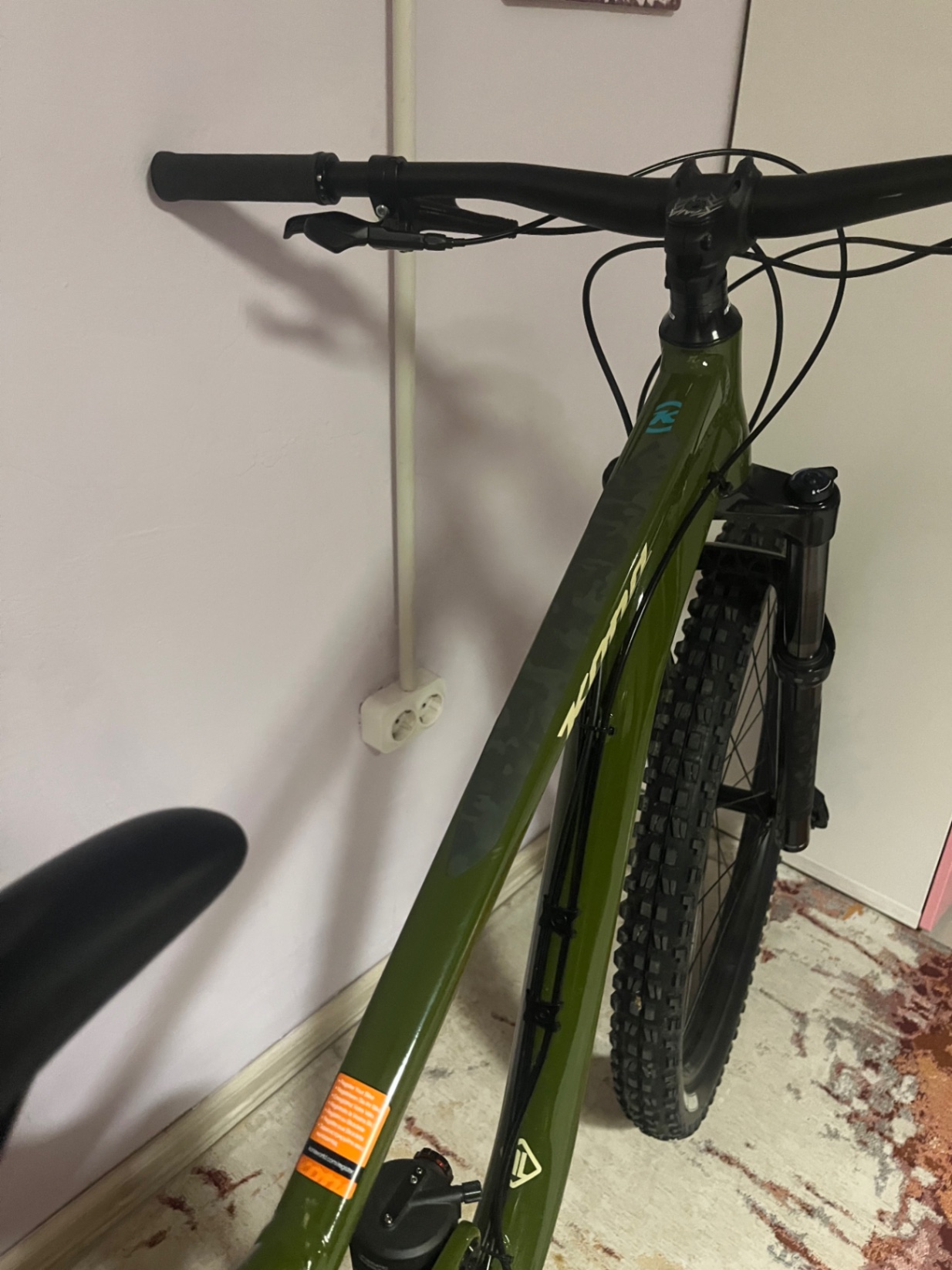 Bike view 8