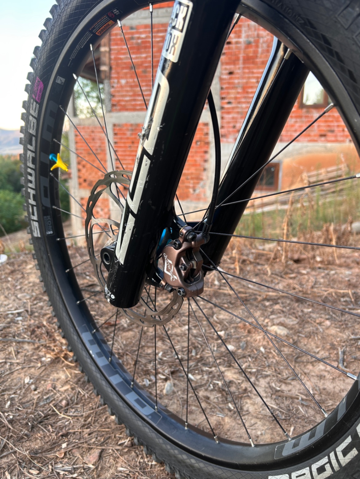 Bike view 9