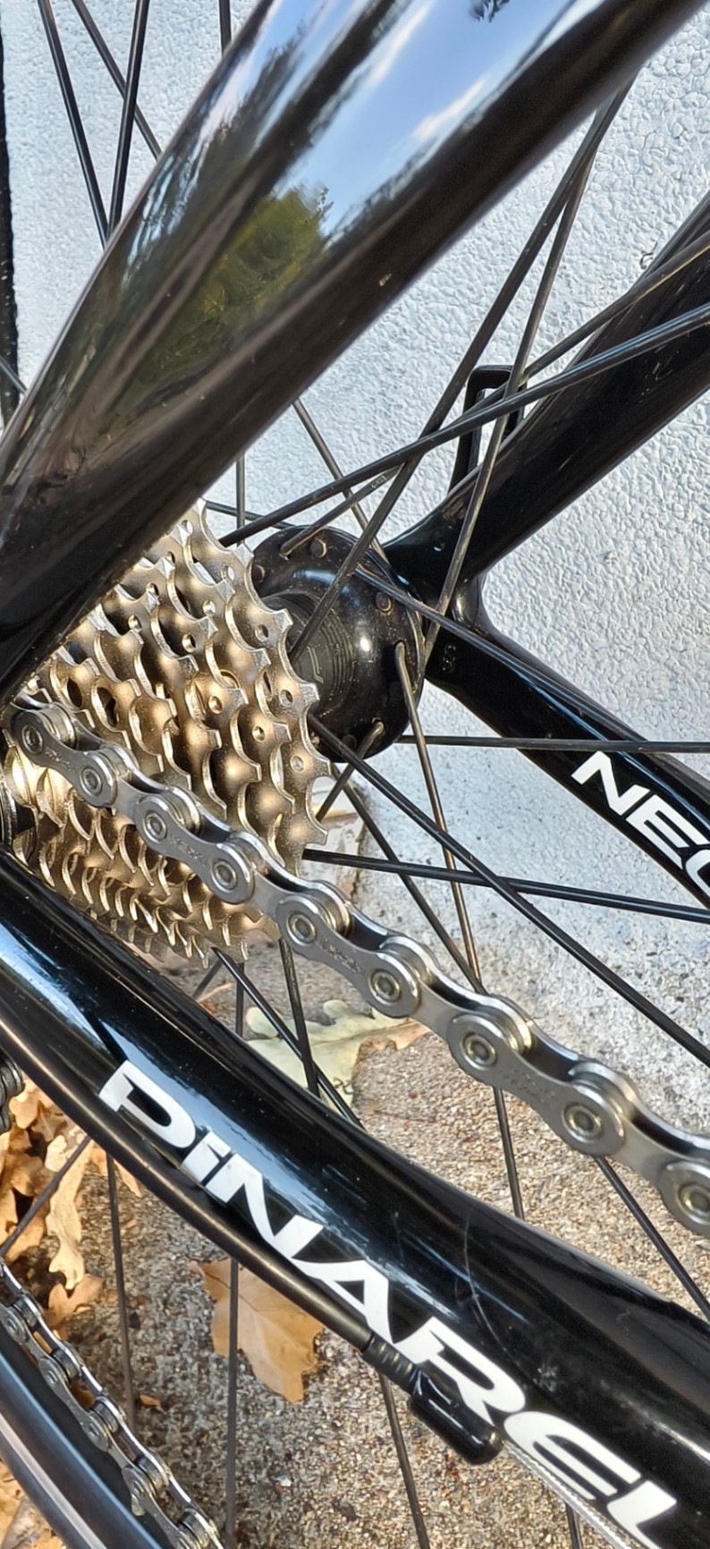 Bike view 6