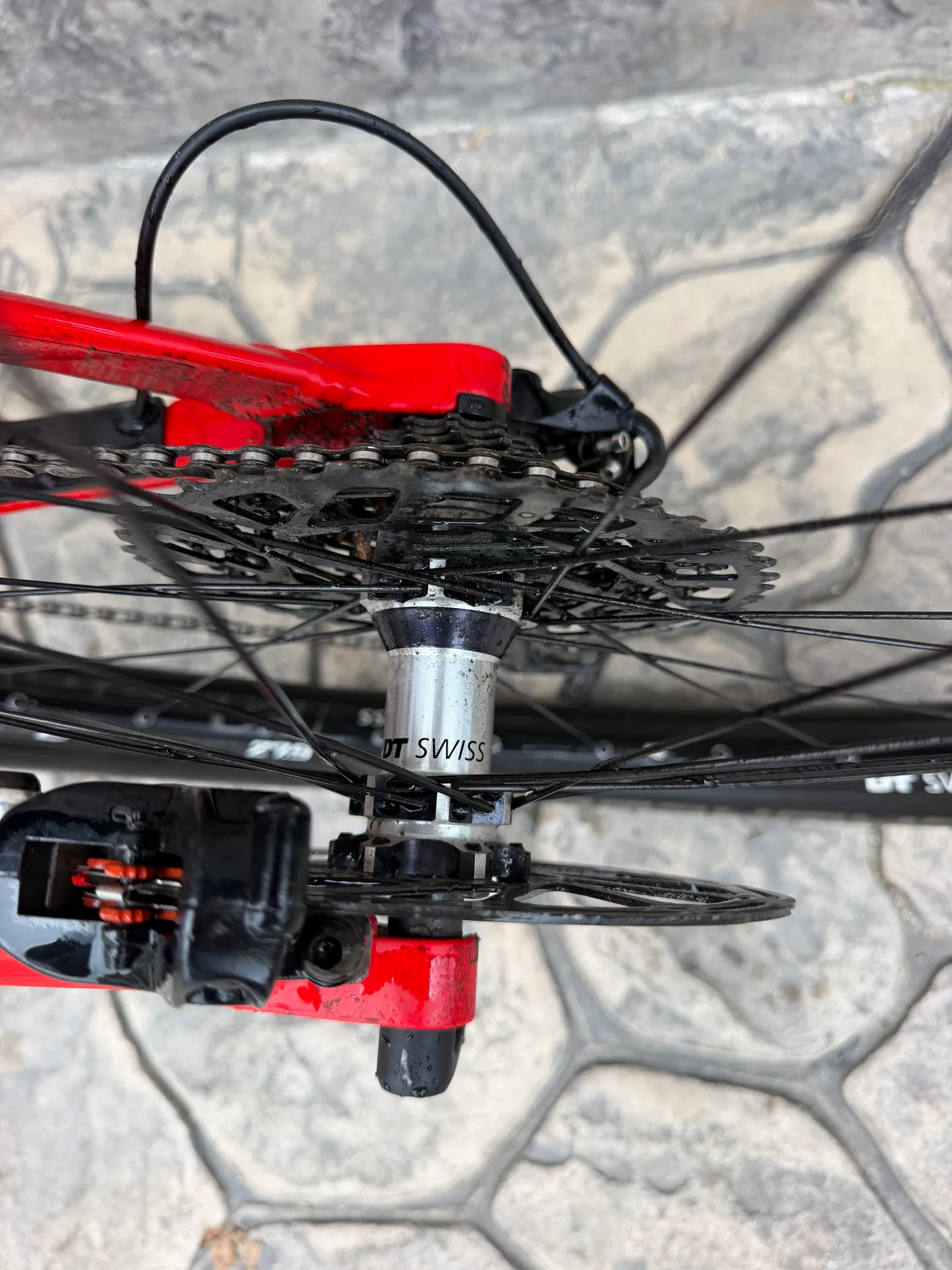 Canyon Spectral AL 6.0 view 8