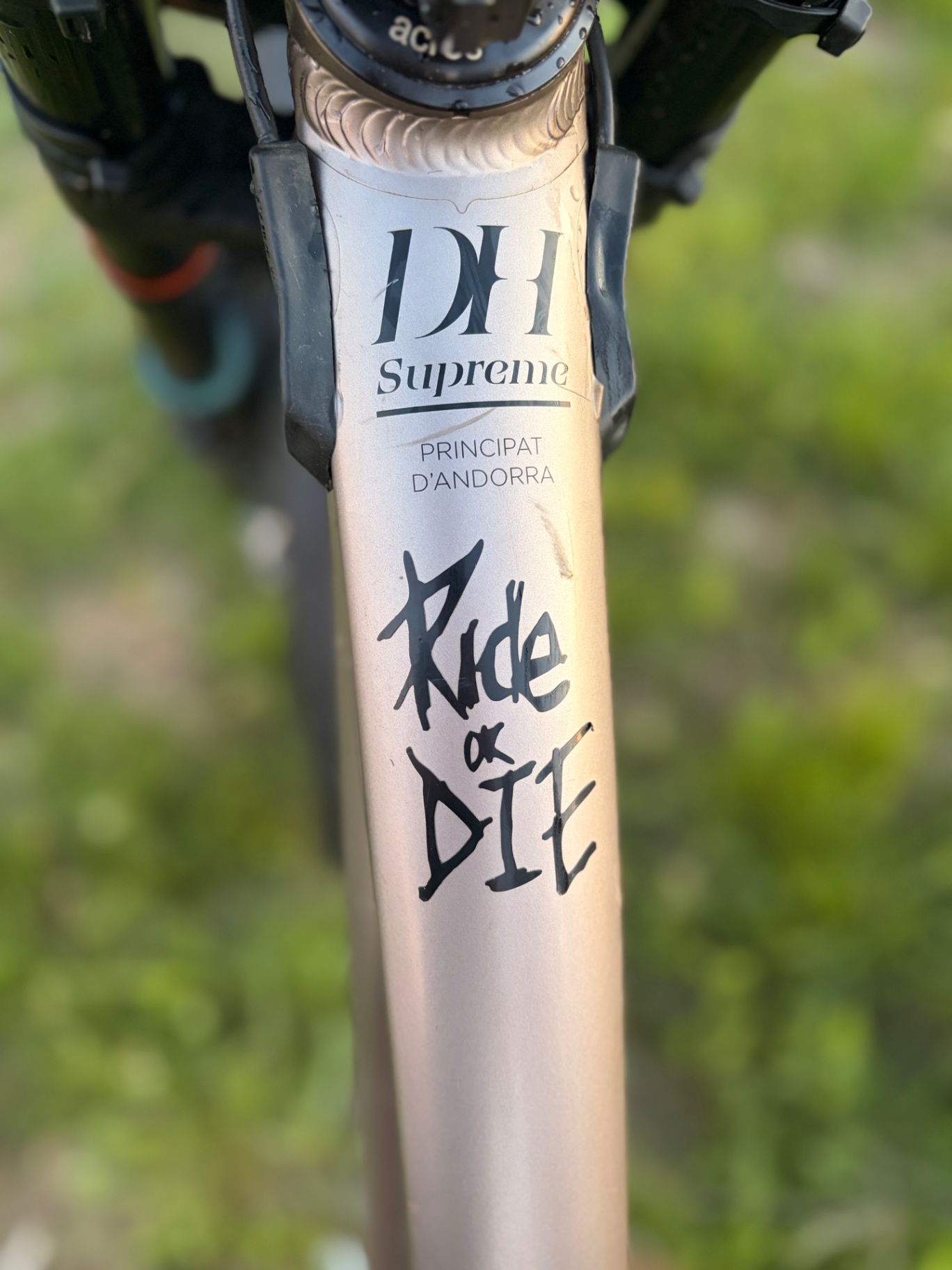 Bike view 6