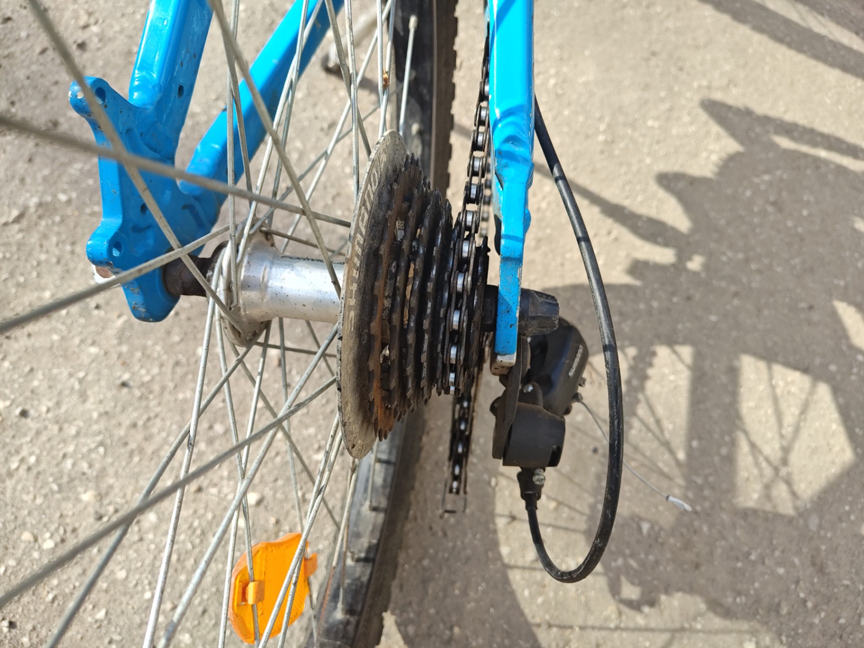 Bike view 6