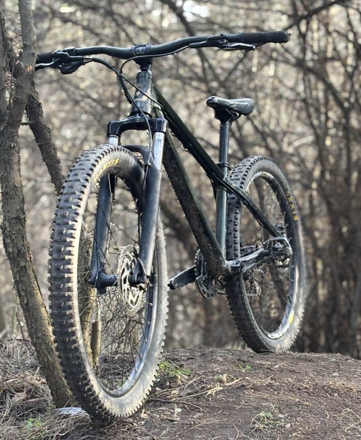 Bike view 5