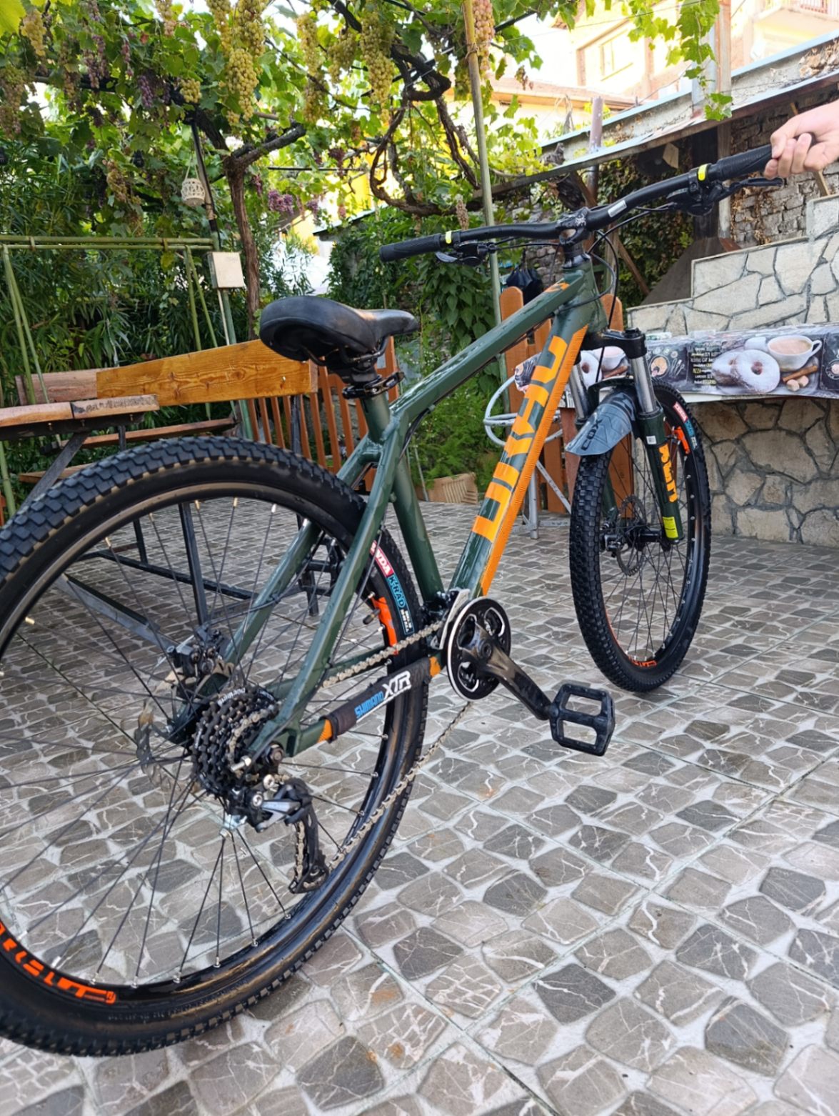 Bike view 5