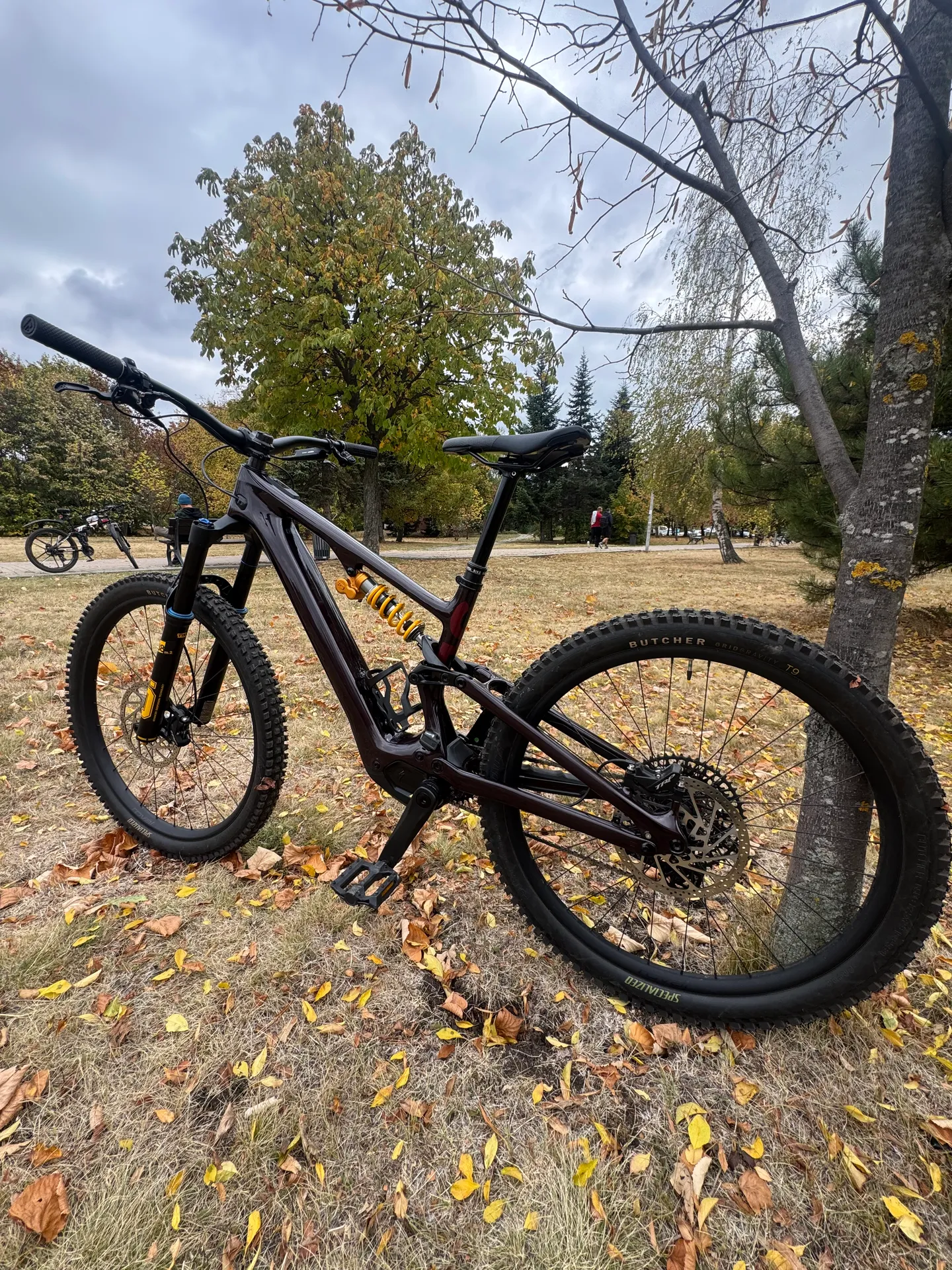 Specialized Turbo Levo SL2 Ohlins Edition view 2
