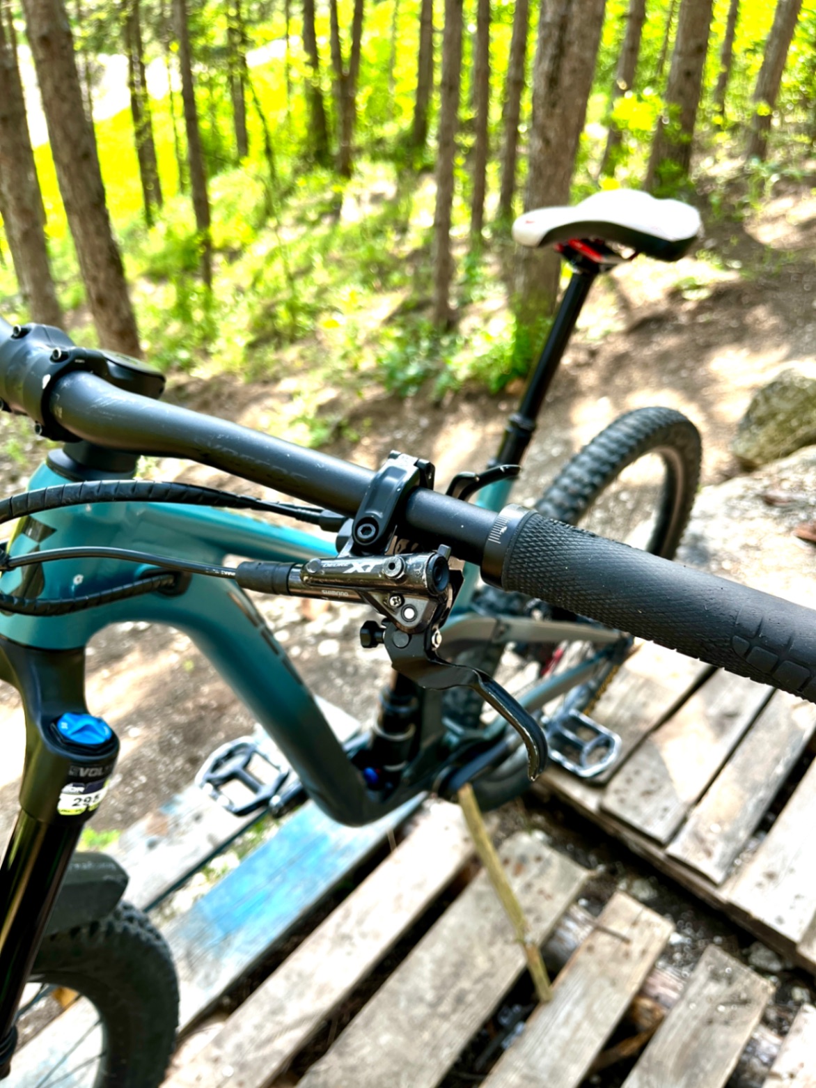 Bike view 5