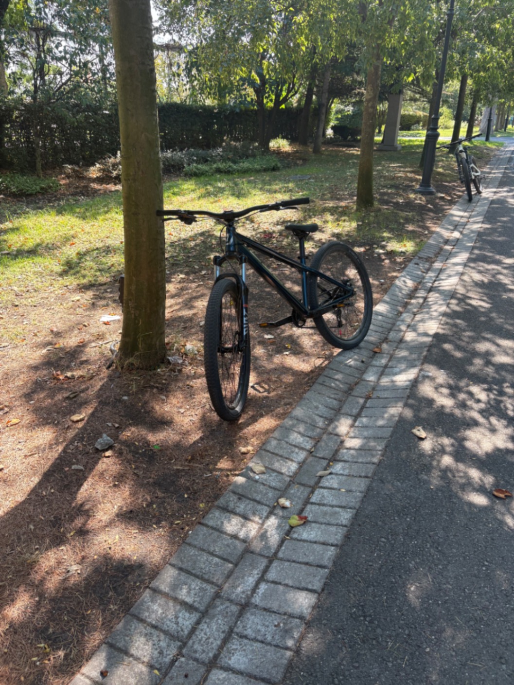 Bike view 3