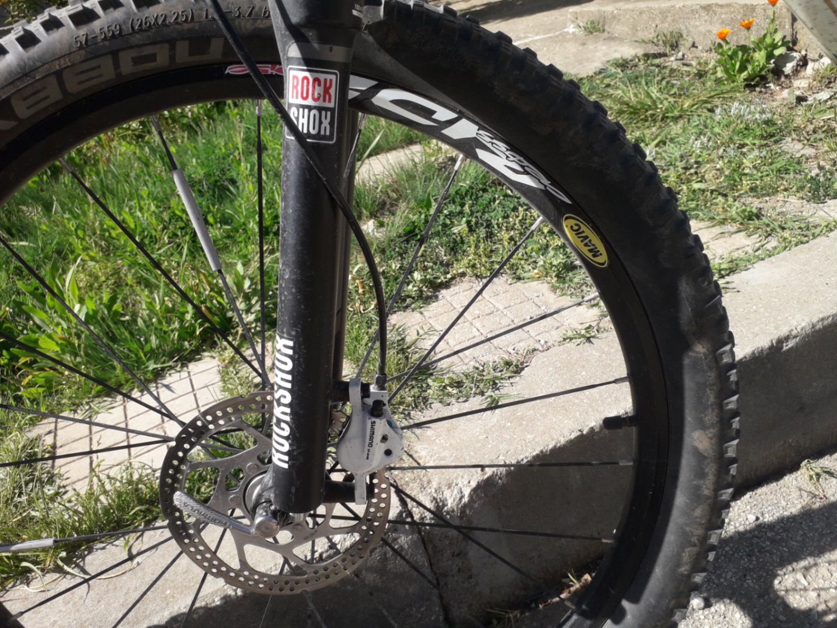 Bike view 6