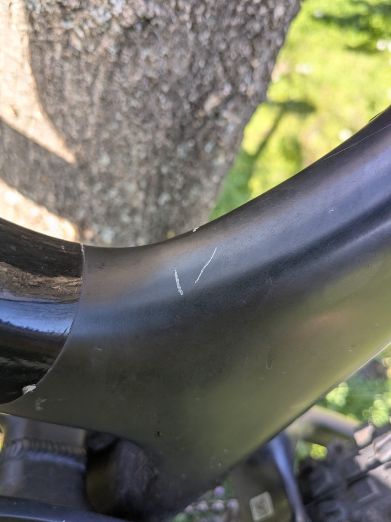 Bike view 5