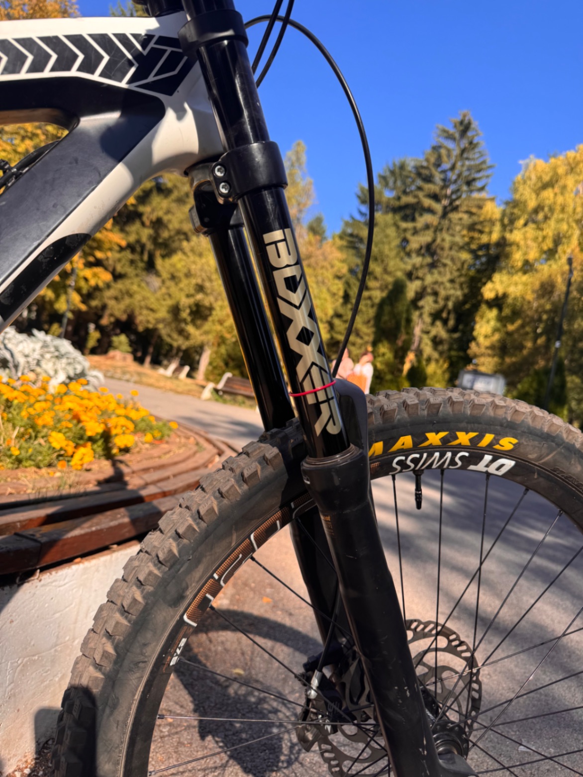 Bike view 5