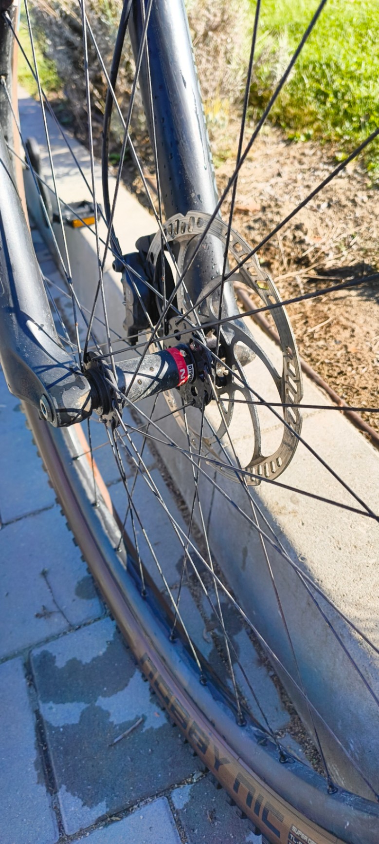 Bike view 6